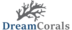 Logo DreamCorals / Ralf Klein