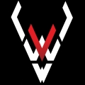 Logo Wild Videowalls
