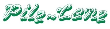 Logo Lenz KG