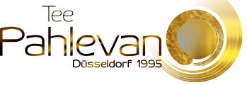 Logo Tee Pahlevan